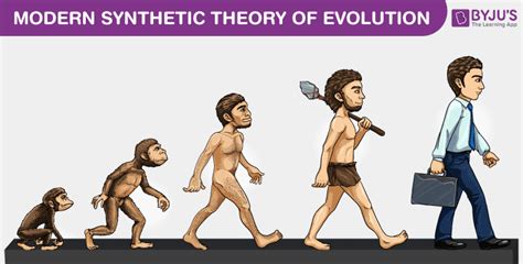 Modern Synthetic theory of Evolution - An Overview