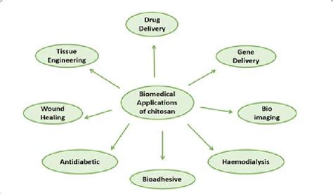 Biomedical applications of chitosan. | Download Scientific Diagram