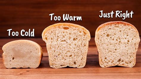 How Does Temperature Affect Fermentation? | Atlas Scientific