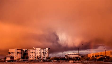 Understanding dust storms: From how they form to their devastating effects