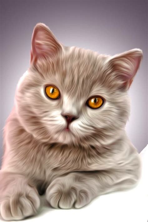 Amazing cat art | Adorabili gattini, Disegni di gatti, Gattini