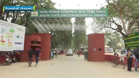 COVID-19: Visitors’ footfall increases at Assam’s State Zoo Cum ...