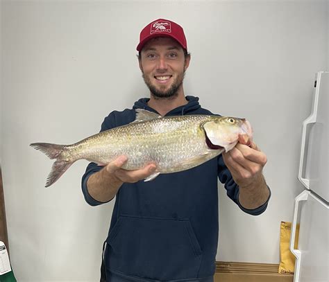 St. Peters angler catches record skipjack herring from Missouri River ...