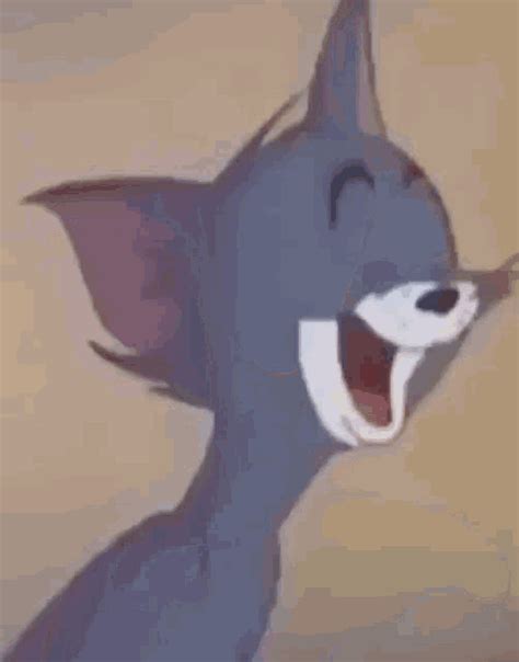 Tom Tom And Jerry GIF - Tom Tom And Jerry Tom Laughing - Discover ...