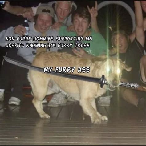 Dog with samurai sword : r/MemeTemplatesOfficial