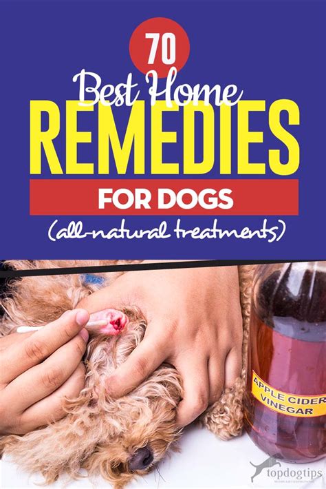 70 Best Home Remedies for Dogs | Dog health tips, Dog health, Remedies