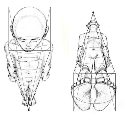 Drawing the Human Figure: Perspective & Foreshortening | HubPages