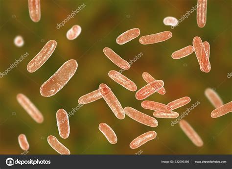 Scientific Image Bacteria Citrobacter Gram Negative Bacteria ...