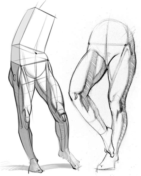 Stan Prokopenko on Twitter | Human anatomy drawing, Anatomy drawing ...