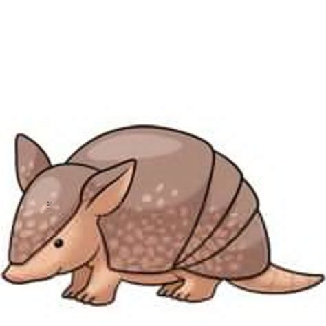 Cute Armadillo Clipart | Free Images at Clker.com - vector clip art ...