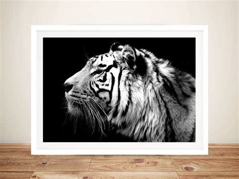 Tiger Black & White Canvas Art Prints