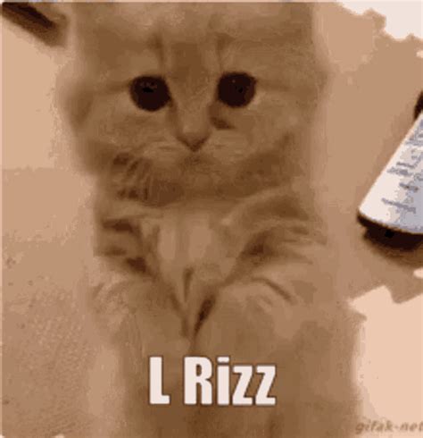 Rizz L Rizz GIF - Rizz L Rizz No Rizz - Discover & Share GIFs