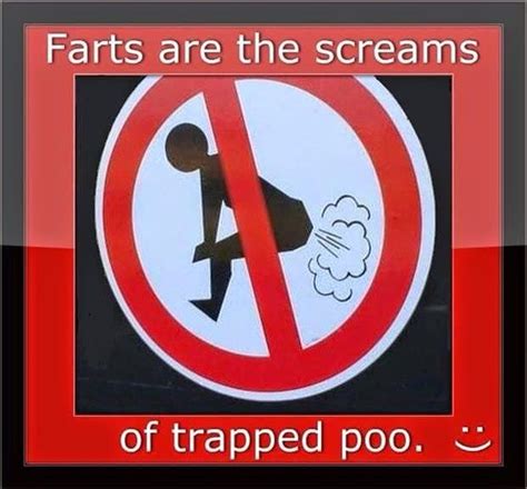 Funny Fart Memes, Gifs, Pics, Jokes, Videos, Stories, Pranks, Quotes ...