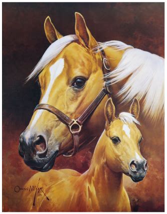 American Warmblood - Palomino Horse Breeders Heritage Foundation