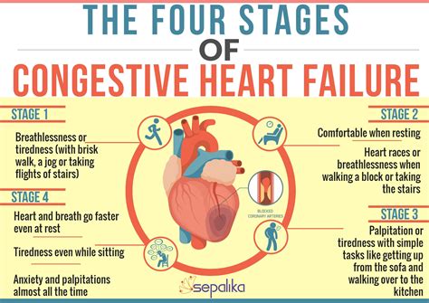 Congestive Heart Failure (CHF): Symptoms, Stages, Life Expectancy ...