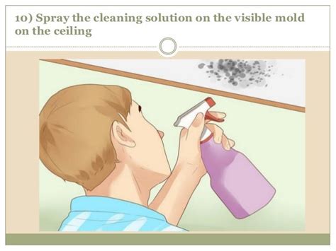 Mold Remediation - Process of Eliminating Black Mold