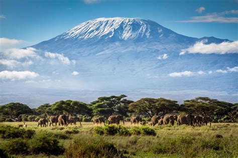 Mount Kilimanjaro, The Very Exotic Mountain and Safe Guide To Climb It ...