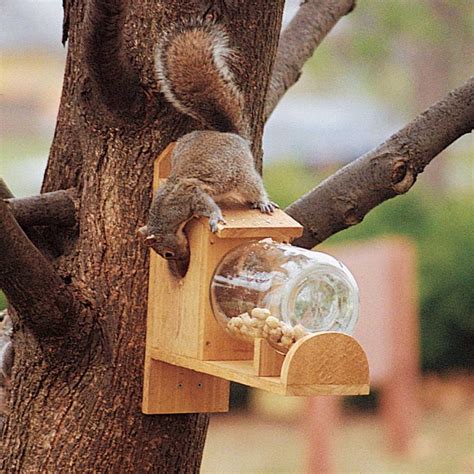 Entertaining Squirrel Feeder — The Family Handyman