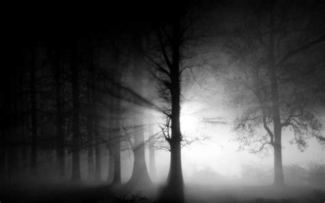 Dark Fog Wallpapers - Top Free Dark Fog Backgrounds - WallpaperAccess