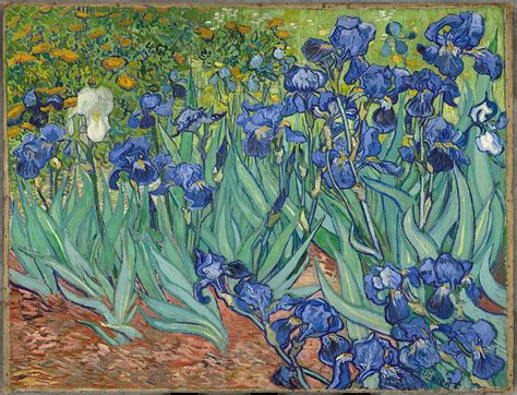 Irises (painting) - Wikipedia