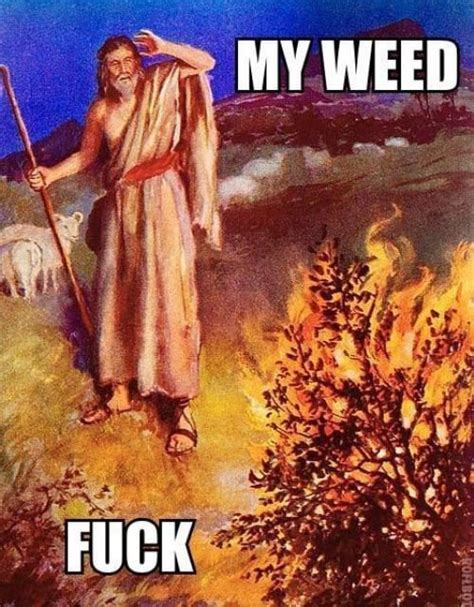 Moses and the burning "bush" : r/ComedyArchaeology