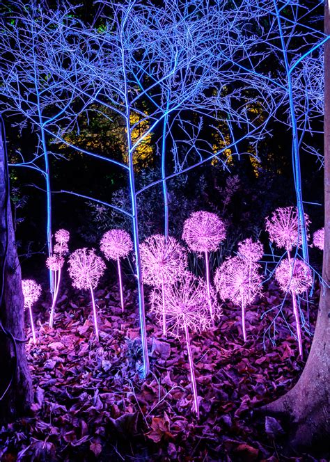 Ann Miles Photography: Anglesey Abbey Winter Lights 1. Static Shots