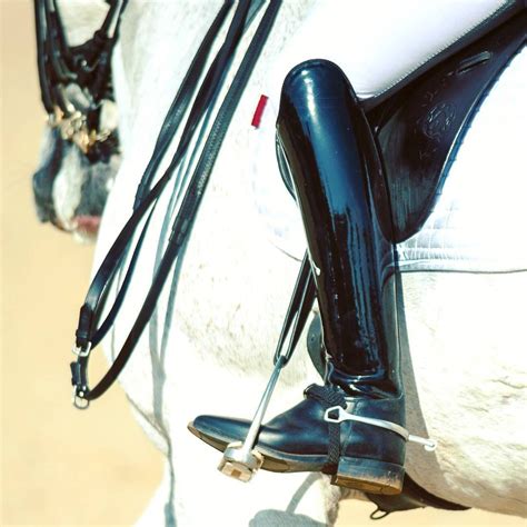 dressage boots | Paardensport mode, Zwart, Paardensport