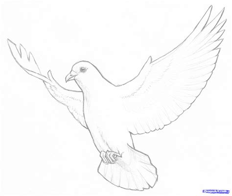 Dove Flying Drawing at GetDrawings | Free download