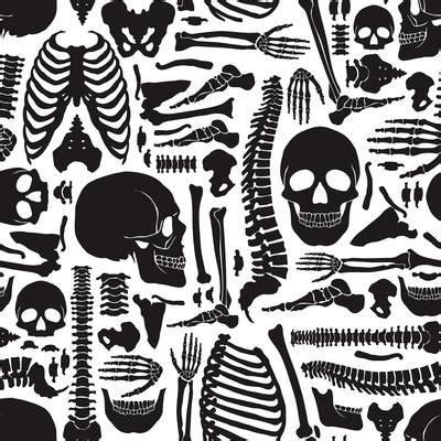 Skeleton Vector Art, Icons, and Graphics for Free Download