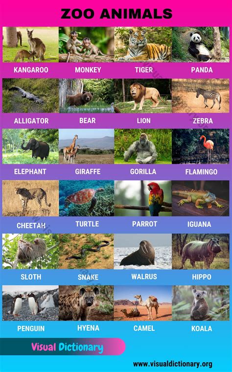 Zoo Animals: Wonderful List of 24 Animals that Live in the Zoo - Visual ...