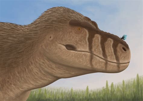 Tyrannosaurus mcraensis by Aberrantologist on DeviantArt