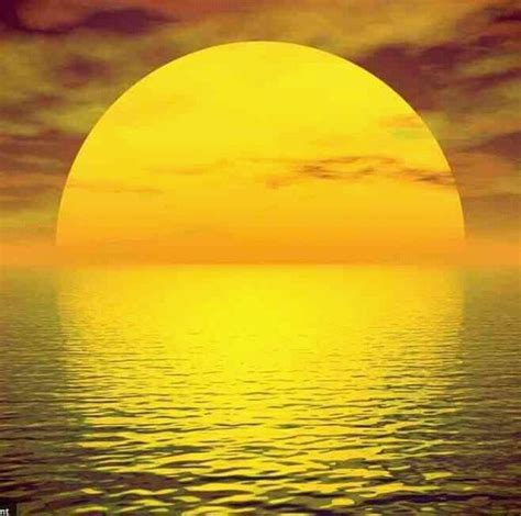 ♥ the sun. | Beautiful sunset, The magic faraway tree, Beautiful sunrise