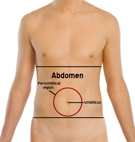 Core Muscles Names