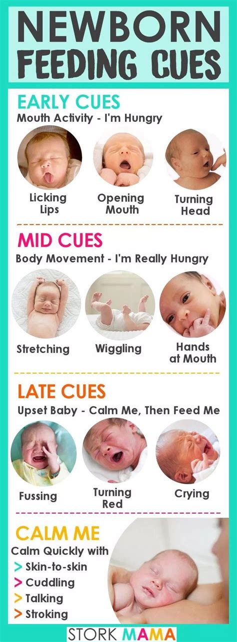 Hunger Cues | Baby breastfeeding, Newborn feeding, Baby calm