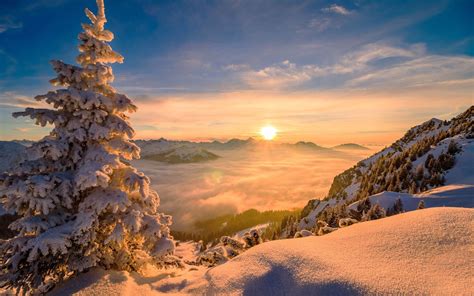 #nature #Sun #winter pine trees #trees #snow #mountains #mist #sunrise ...