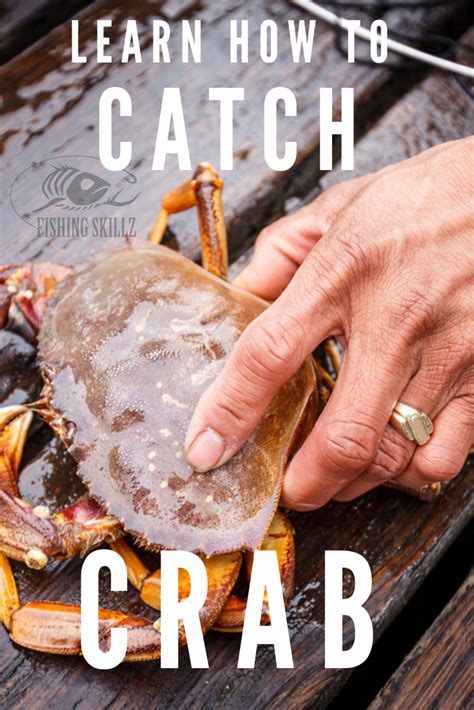 Pin on Crabbing, Clamming and Shellfish