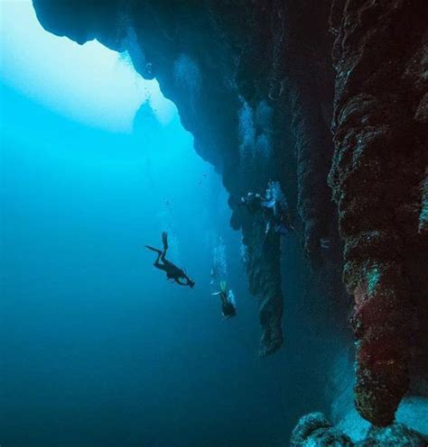 Diving the Blue Hole - Our Belize Vacation