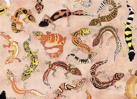 Leopard Gecko Morphs Chart