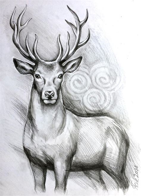 Deer Pencil Drawings at PaintingValley.com | Explore collection of Deer ...