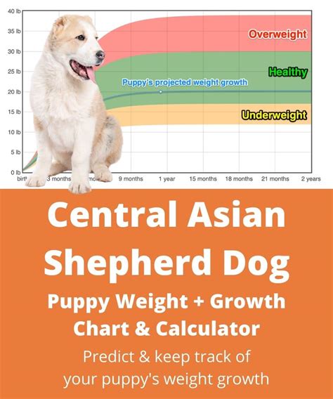 Central Asian Shepherd Dog Weight+Growth Chart 2024 - How Heavy Will My ...