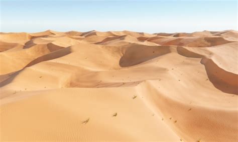 Premium Photo | Sand dunes in desert sand dunes landscape on sunny day ...