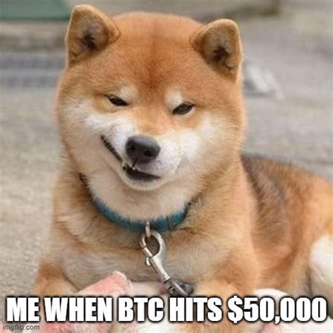 Doge smirk meme - Imgflip