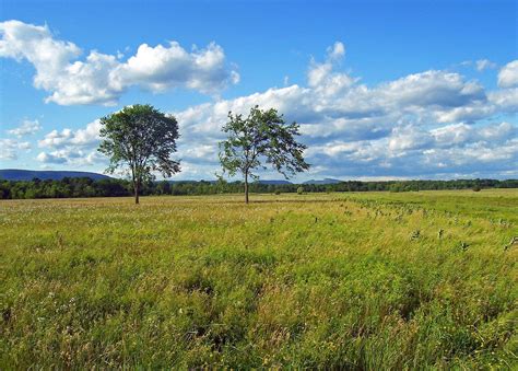 Temperate grassland: Shawangunk Grasslands NWR - Shawangunk Grasslands ...