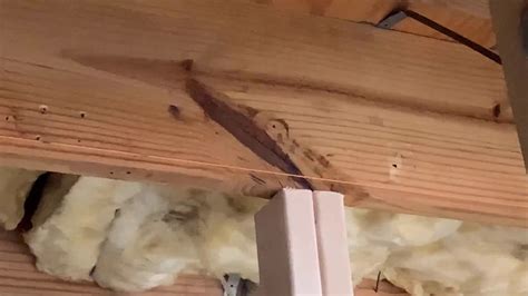 Floor Joist Repair Video - YouTube