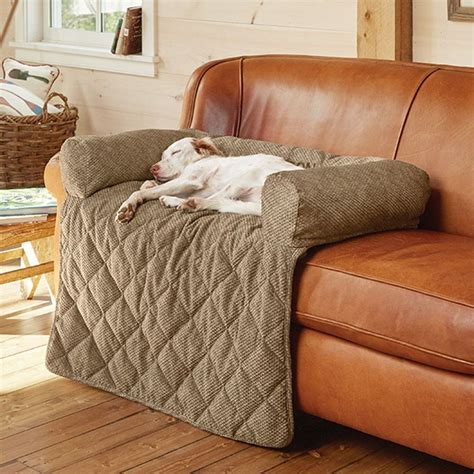 Diy Sofa Cover For Dogs - Best Idea DIY