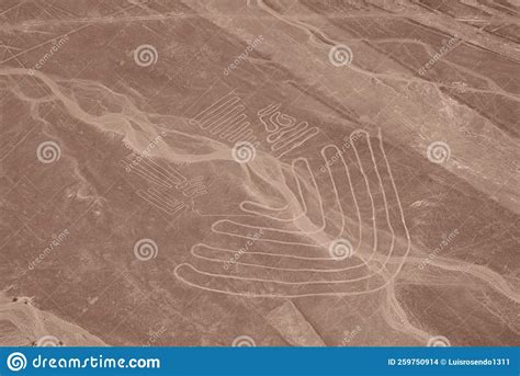 Nazca Lines, Aerial View, Peru Stock Photo - Image of peru, tile: 259750914