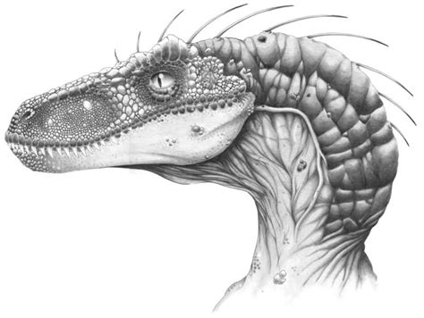 velociraptor drawing - Google zoeken | Dinosaur art, Dinosaur sketch ...