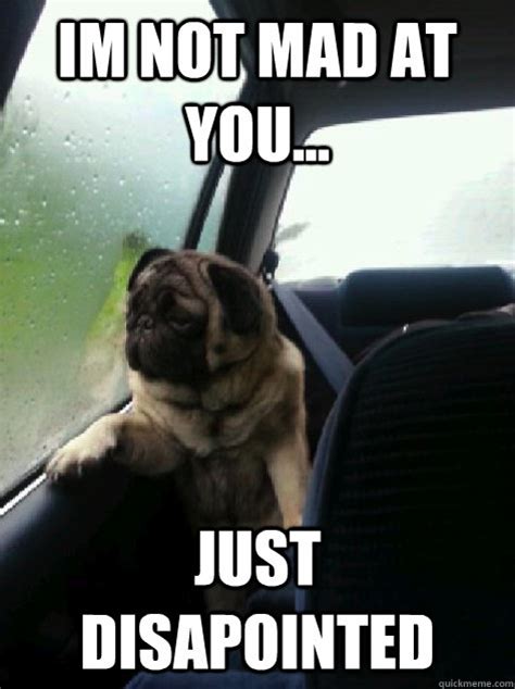 im not mad at you... just disapointed - Introspective Pug - quickmeme