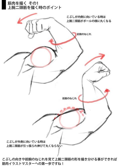 Pin by OIEUSOUDAVID on anatomia humana | Anatomy drawing, Anatomy ...