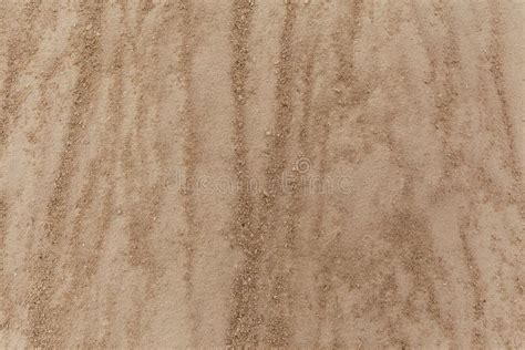 Sandy background closeup. stock photo. Image of cement - 233778266